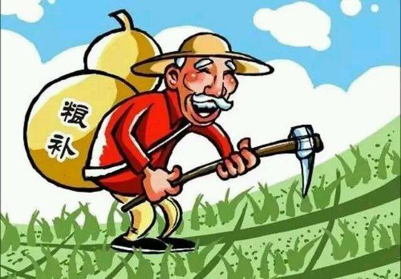 粮食直补最新动态，政策调整助力农民利益双赢战略（2017年更新）