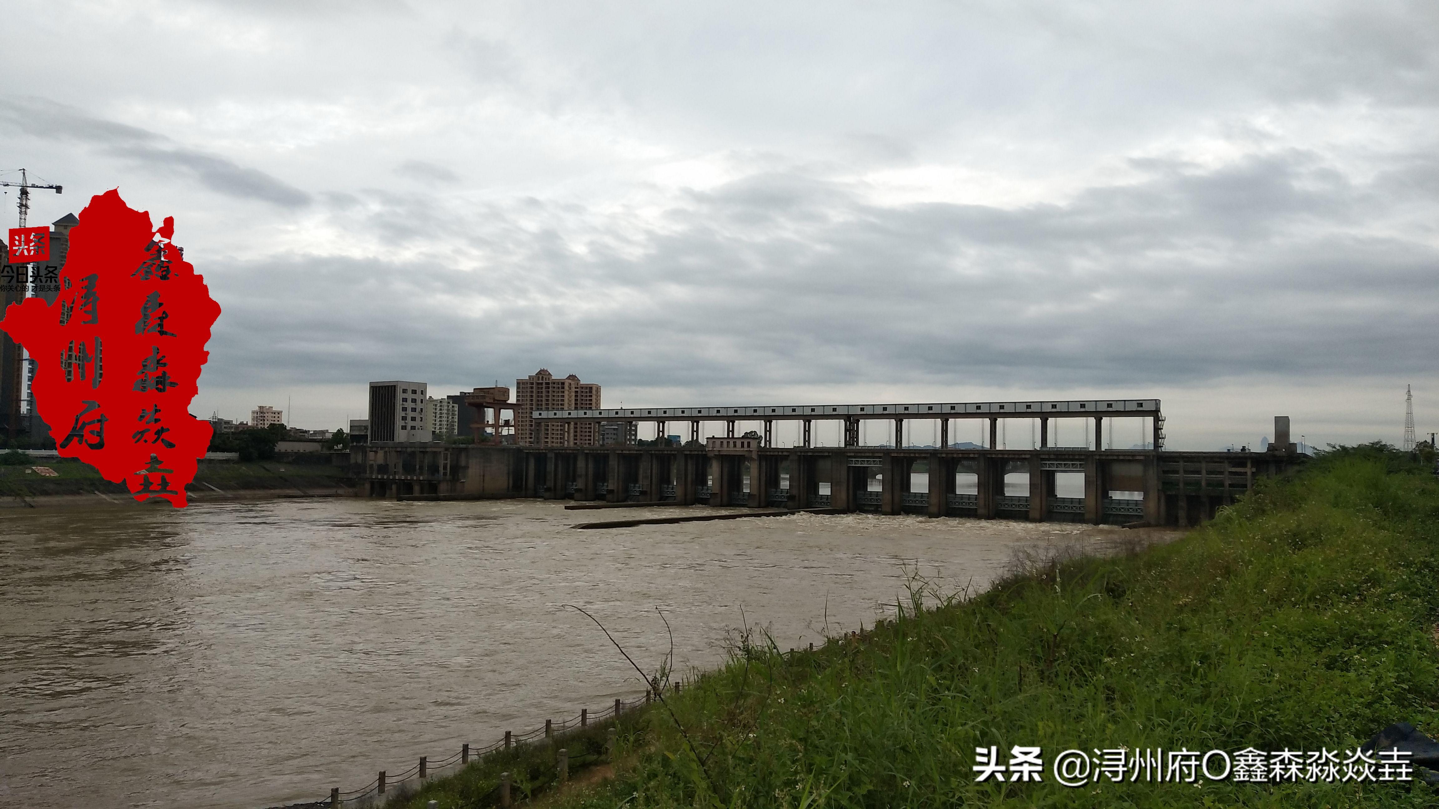 大藤峡水电站最新图片展示，壮丽景象与工程进展尽收眼底