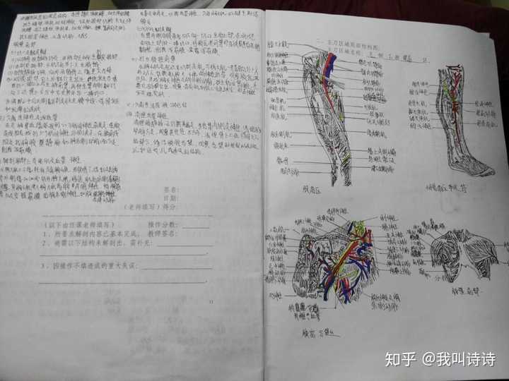 一一肖一码_准确资料解剖落实_尊贵版178.185.155.77