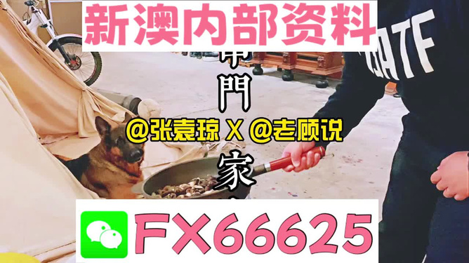 7777788888管家婆精准_准确资料含义落实_精简版252.76.91.14