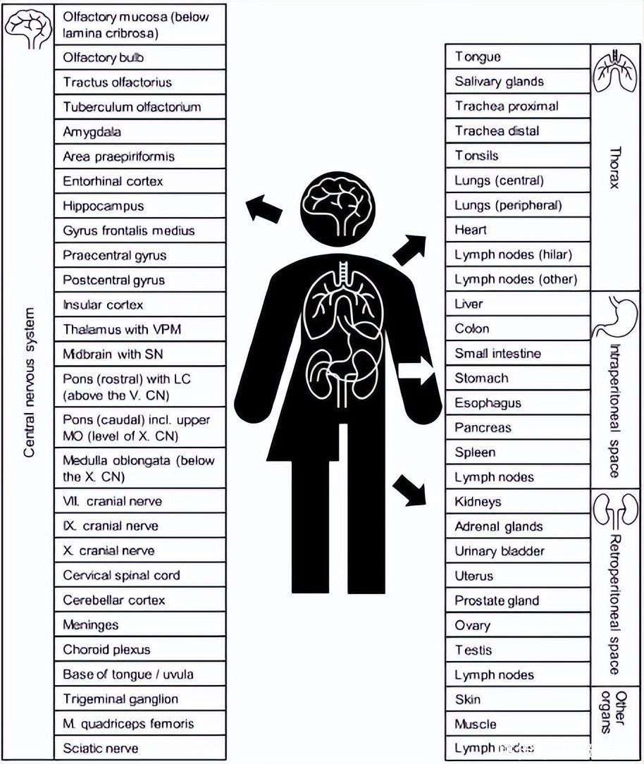 最准一码一肖100%精准管家婆大小中特_效率资料解剖落实_尊贵版171.62.243.217