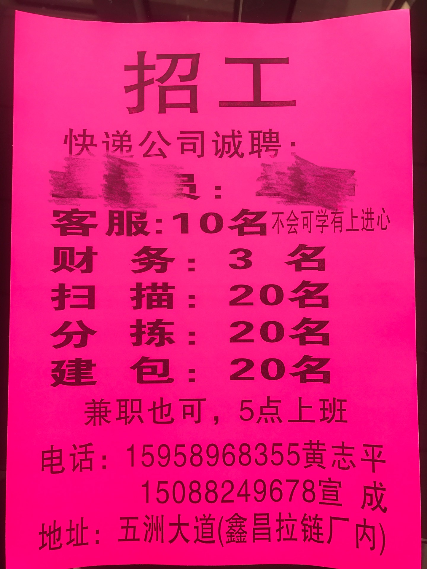 杨浦区临时工最新招聘,杨浦区临时工最新招聘信息网