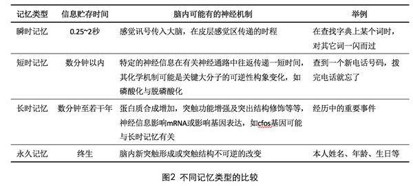 资料大全（或相关术语如“情报信息”）